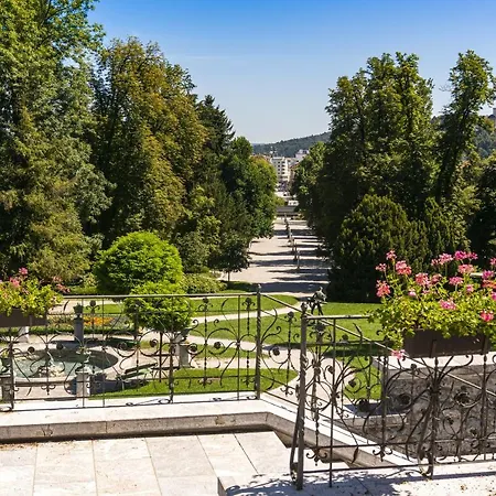 Breza * Ljubljana