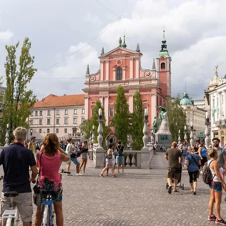 Breza Ljubljana