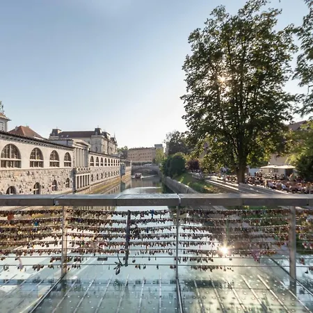 Breza * Ljubljana